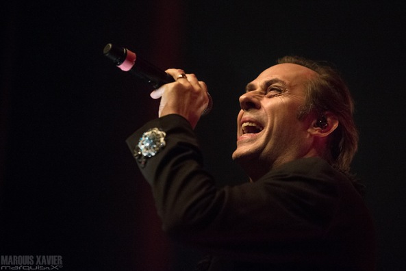 Peter Murphy