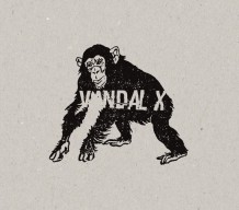 vandal x